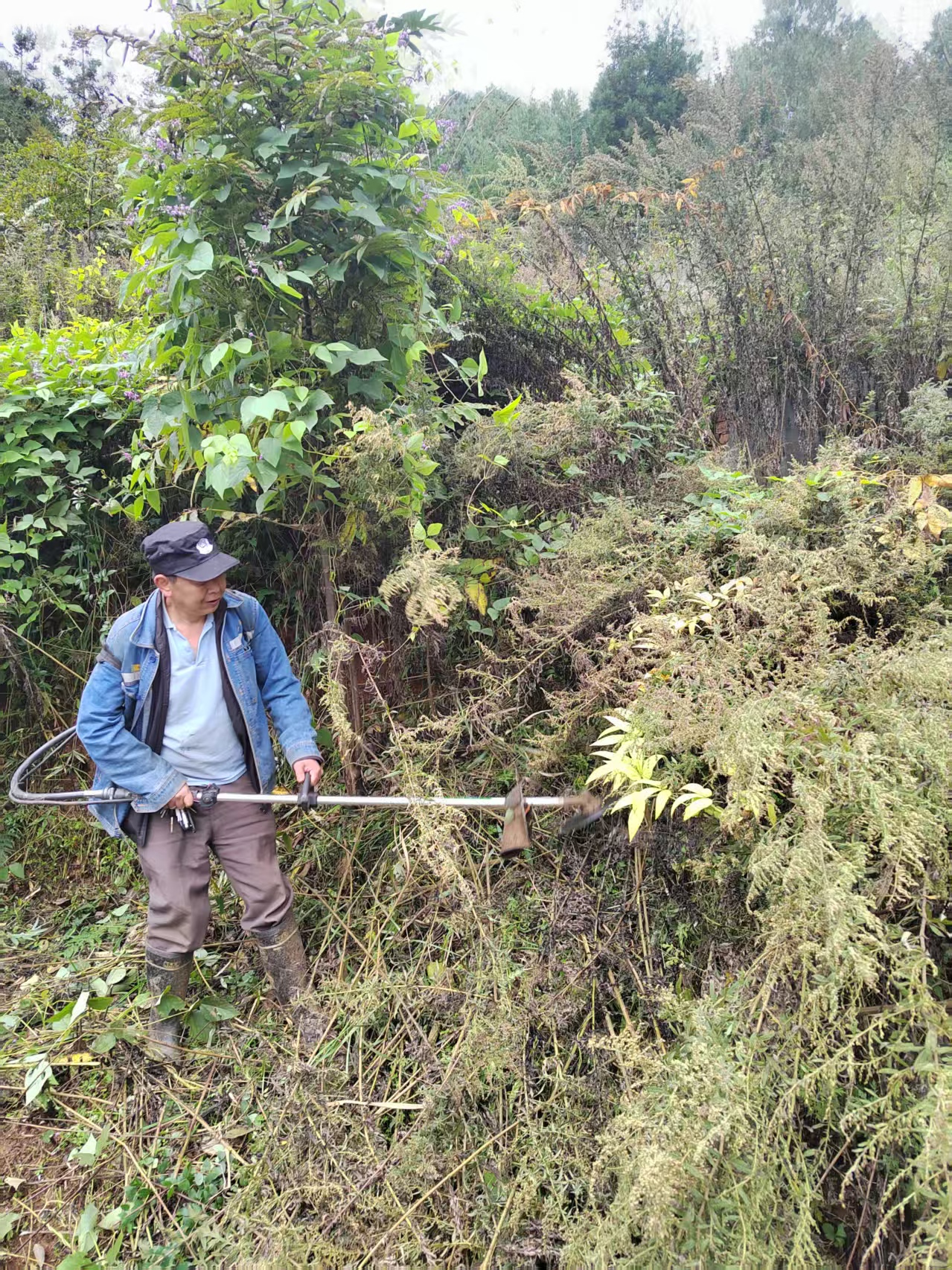 清杂草除隐患 守底线保安全——兴云煤矿开展民用爆炸物品库区专项安全整治行动